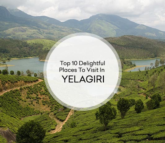 ^398C279C5643E14AD69B0B6FEE94608EA1630594DD19031D81^pimgpsh_fullsize_distr Hill Stations In Yelagiri: 10 Top Yelagiri Hill Stations List That You Should Not Miss